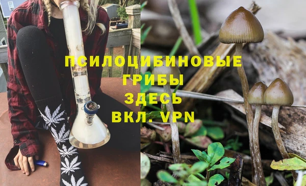 прущая мука Заводоуковск