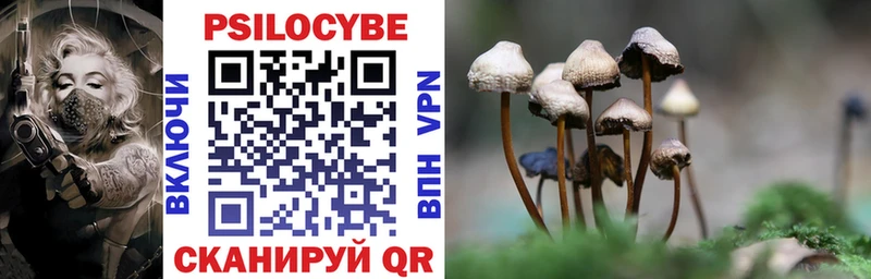 Псилоцибиновые грибы Cubensis  купить  сайты  МЕГА рабочий сайт  Сегежа 