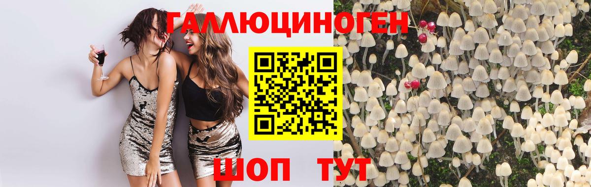 Галлюциногенные грибы прущие грибы  Вход с VPN  где можно купить наркотик  Сегежа 